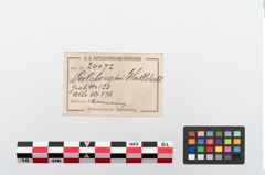 Etikett zu Bronzearmreif (NHMW-PRAE-024072)